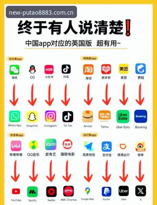 揭秘新葡萄娱乐平台老版英文站APP下载的五大玄学问题